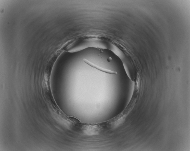 X0000086300575200703301205