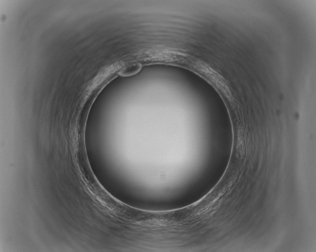 X0000086300578200703301204