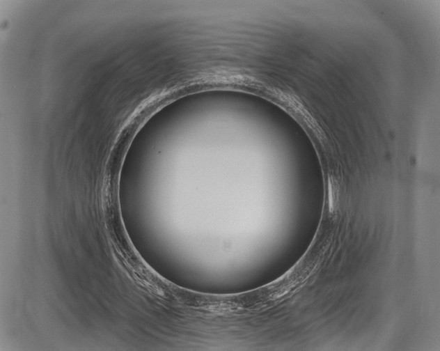 X0000086300579200703301204