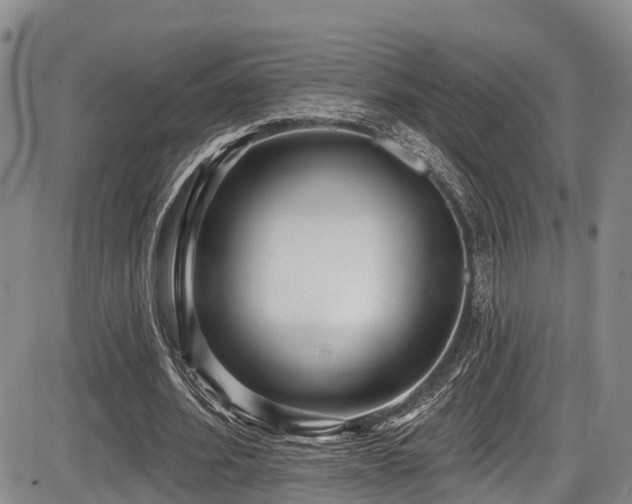 X0000086300580200703301204