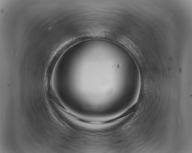 X0000086300584200703301204
