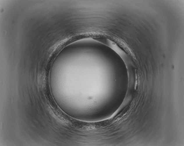 X0000086300588200703301204