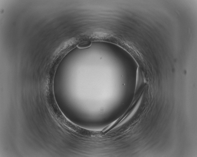X0000086300591200703301204