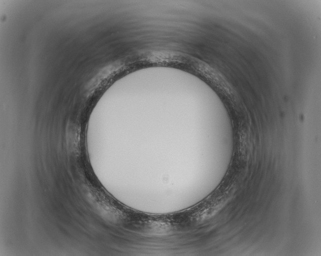 X0000086300592200703301204
