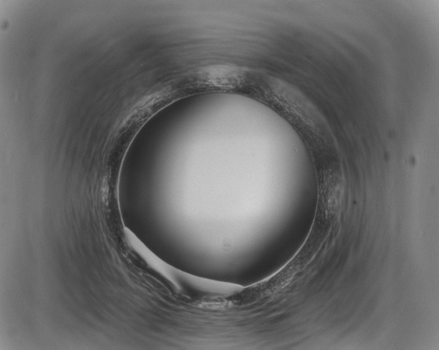 X0000086300595200703301204