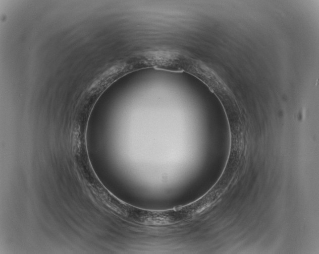 X0000086300599200703301204