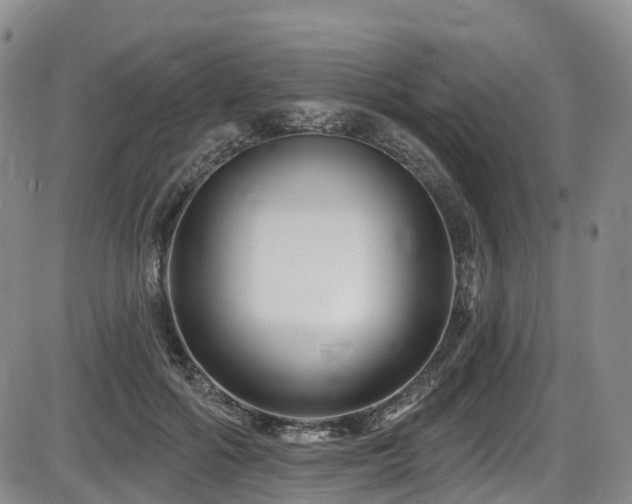 X0000086300602200703301204