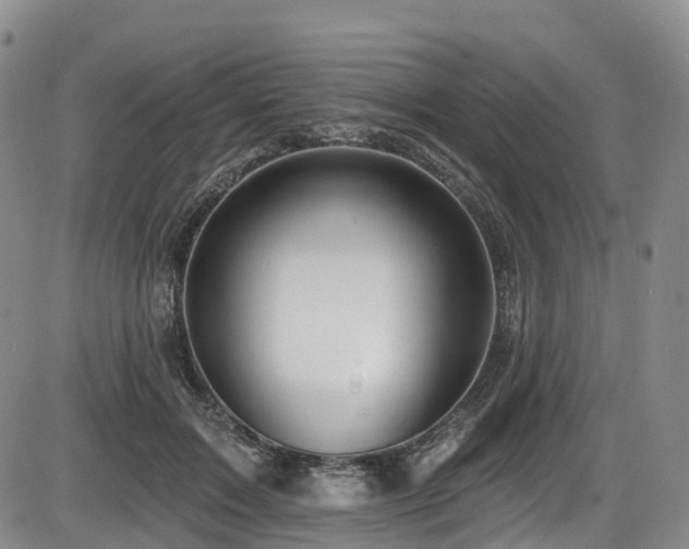 X0000086300603200703301204