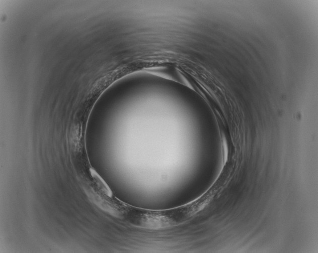 X0000086300605200703301204