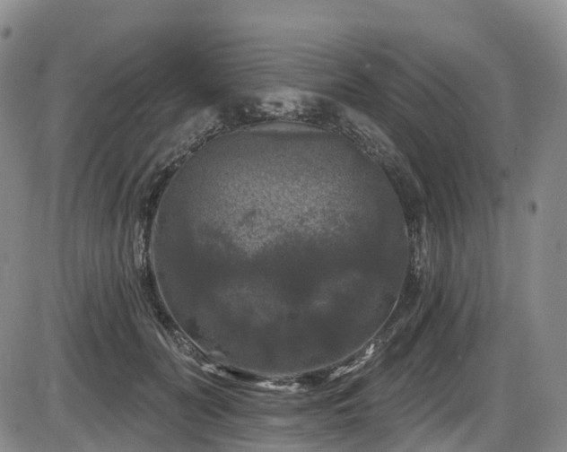 X0000086300606200703301204