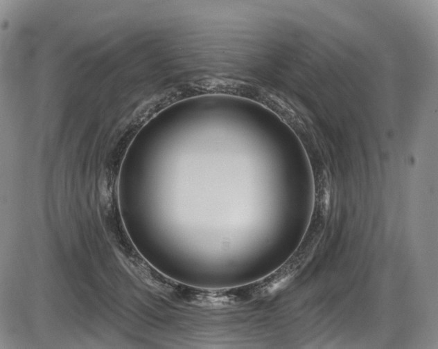 X0000086300607200703301204