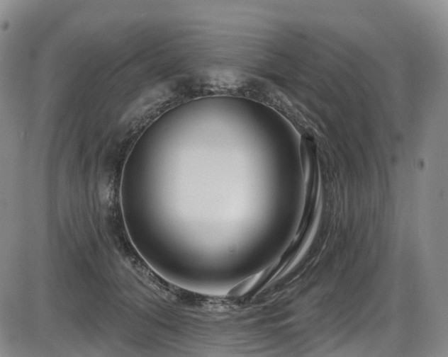 X0000086300608200703301204