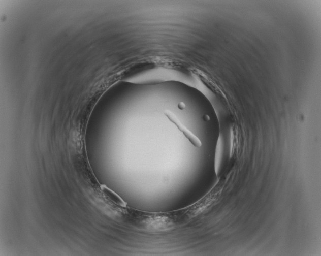 X0000086300609200703301204