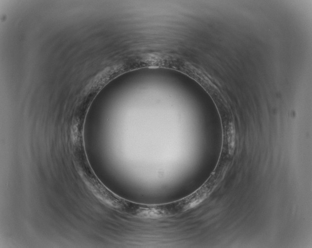 X0000086300611200703301204