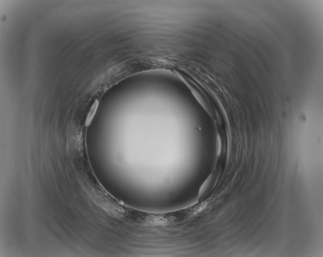 X0000086300613200703301204