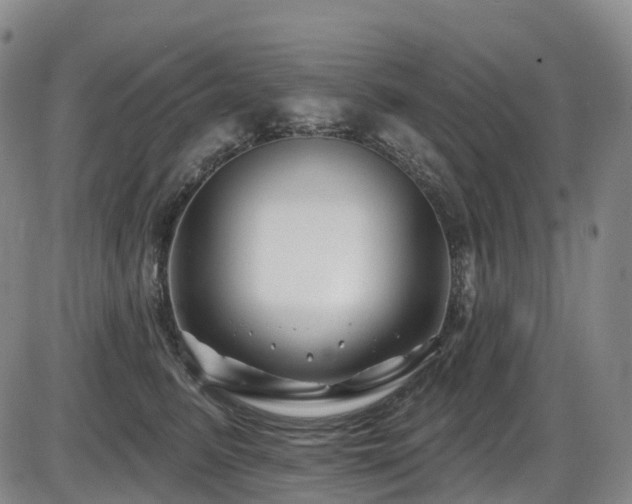X0000086300615200703301204