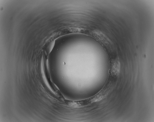X0000086300616200703301204