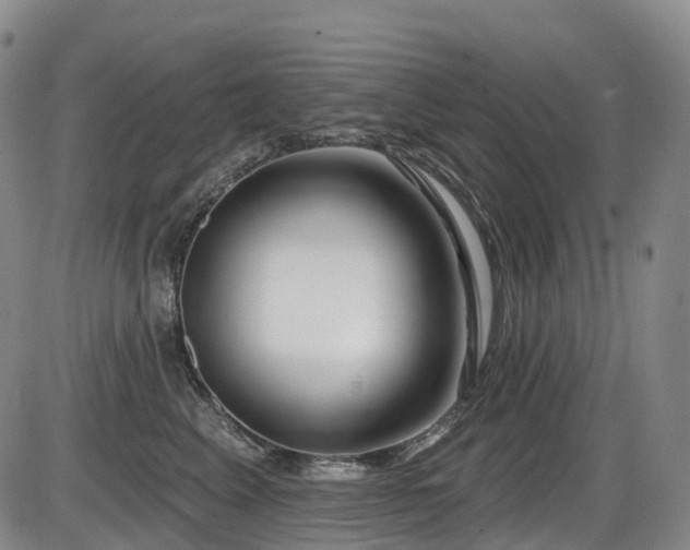 X0000086300617200703301204
