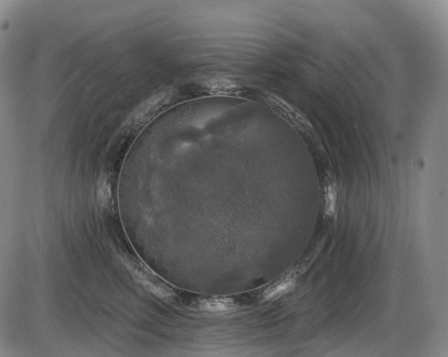 X0000086300618200703301204