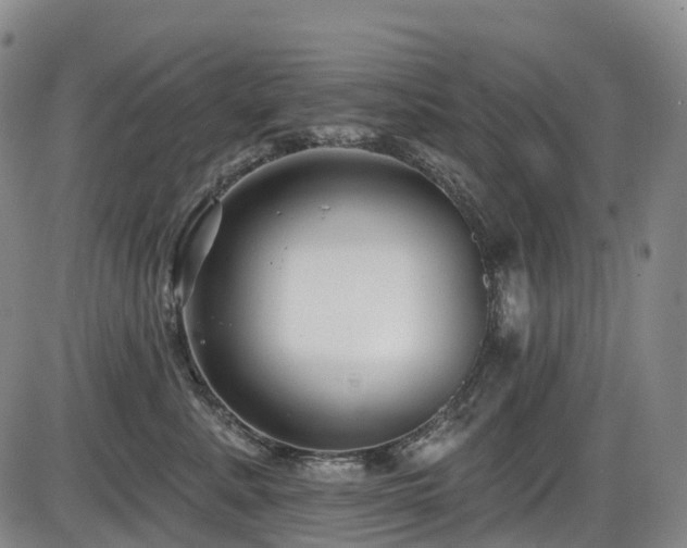 X0000086300619200703301204
