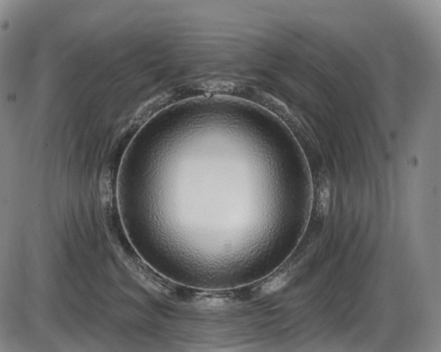 X0000086300620200703301204