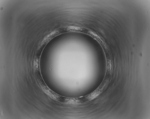 X0000086300621200703301204