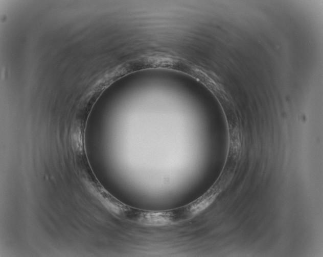 X0000086300622200703301204