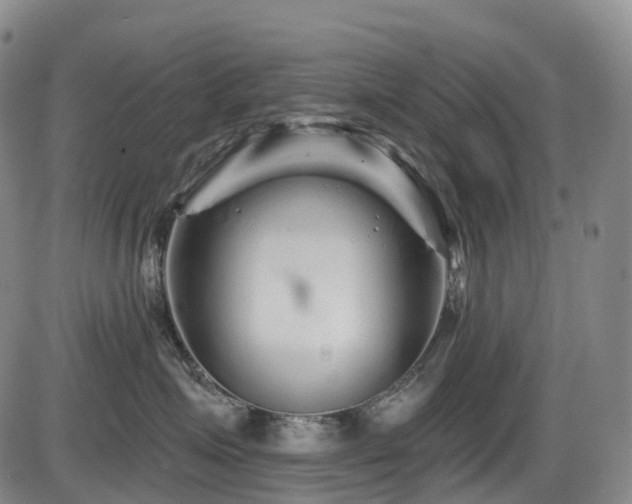 X0000086300623200703301203