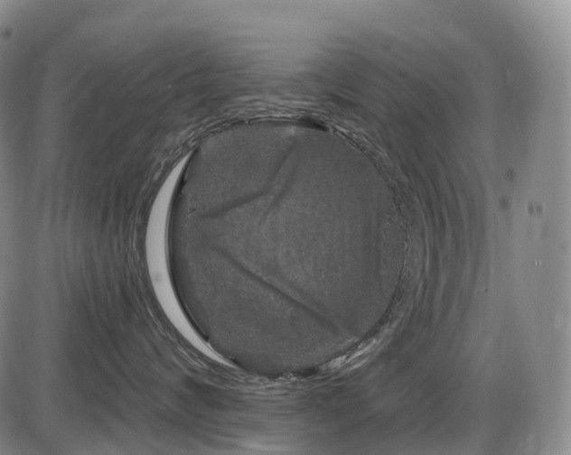 X0000086300624200703301203