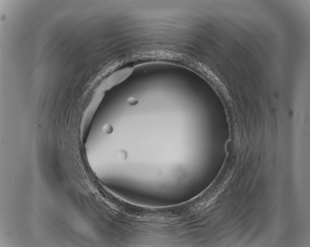 X0000086300625200703301203