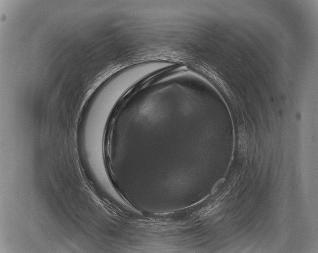 X0000086300626200703301203