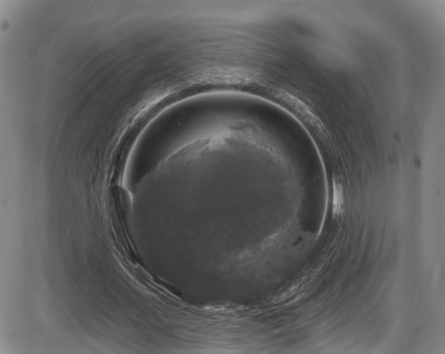 X0000086300627200703301203