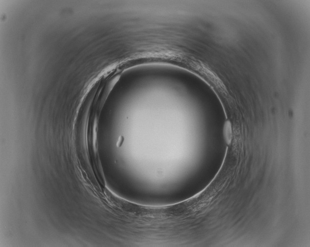 X0000086300628200703301203