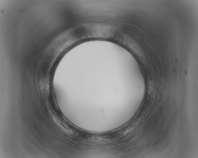 X0000086300632200703301203