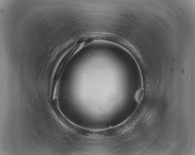 X0000086300633200703301203