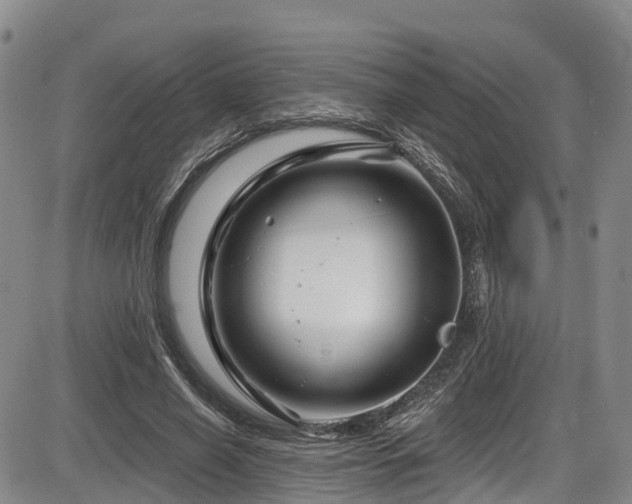 X0000086300638200703301203