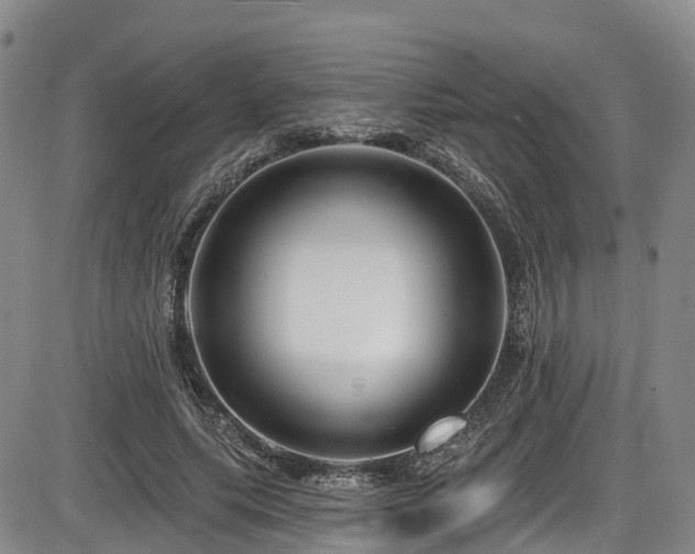 X0000086300639200703301203