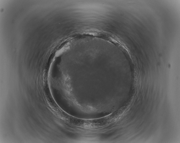 X0000086300641200703301203