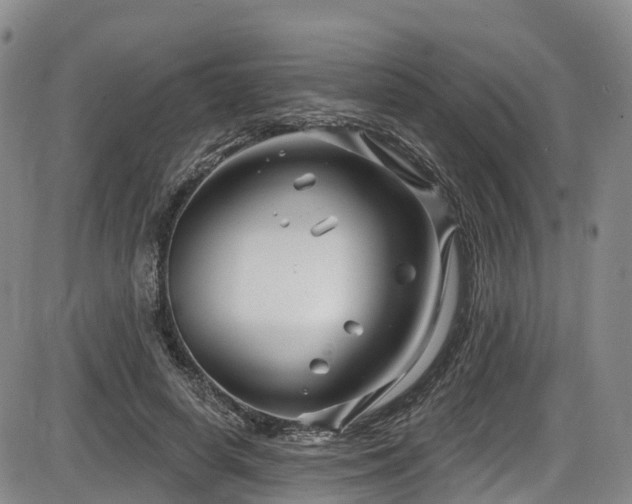 X0000086300642200703301203