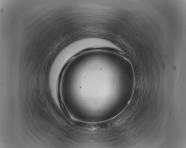 X0000086300646200703301203