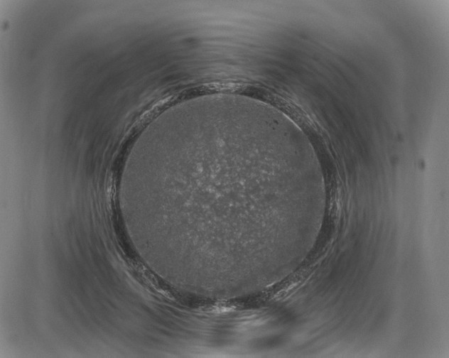 X0000086300647200703301203