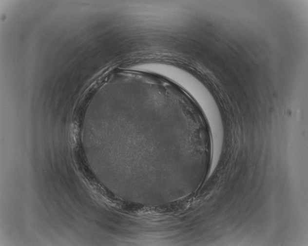 X0000086300648200703301203