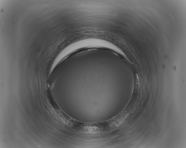 X0000086300650200703301203
