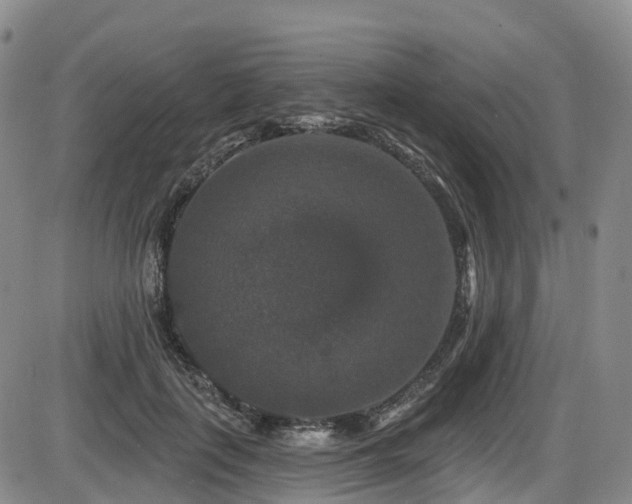 X0000086300651200703301203