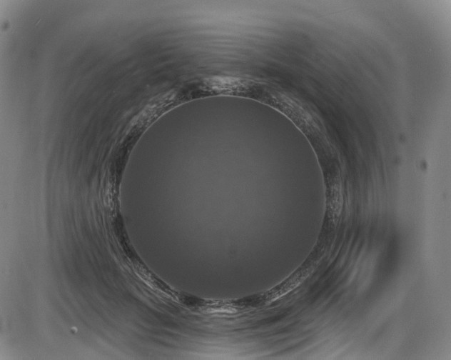 X0000086300653200703301203