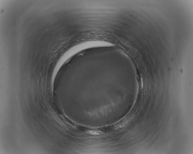 X0000086300654200703301203