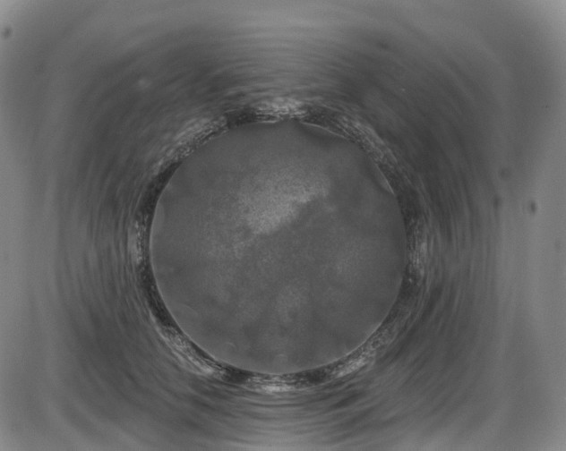 X0000086300658200703301203