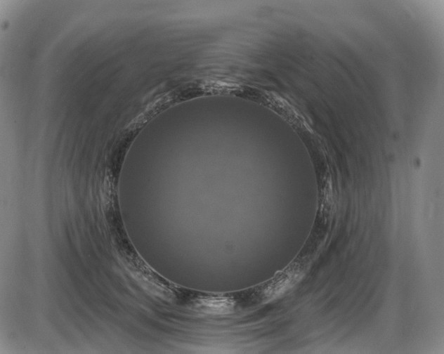 X0000086300659200703301203