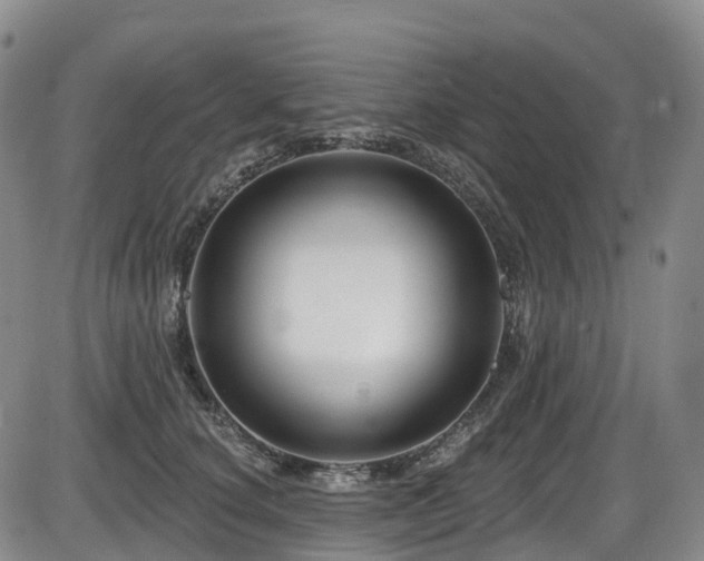 X0000086300660200703301203