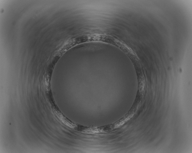 X0000086300661200703301203